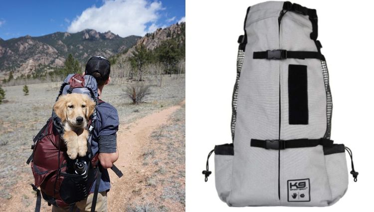The Best Backpack Carriers for Hiking & Fun!