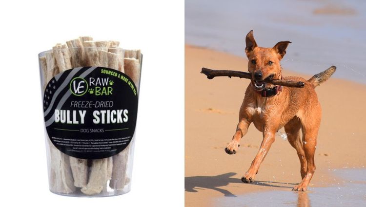 Freeze Dried Dog Treats | A Healthy & Tasty Option for Your Pet