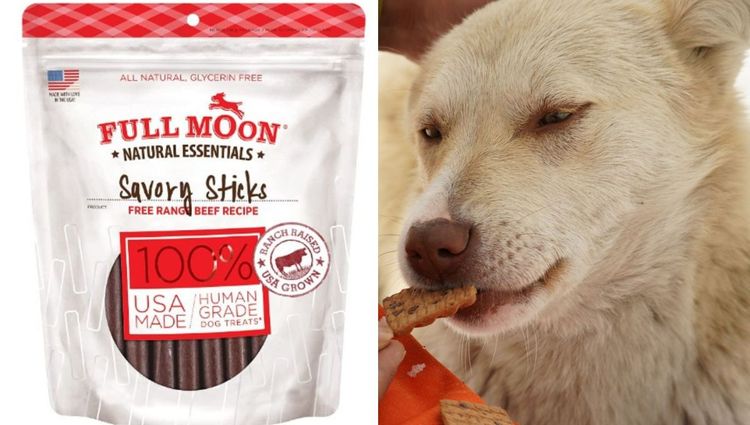 Delicious Dog Treats That Will Make Your Pup Smile