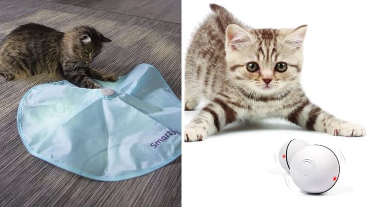 Best Interactive Cat Toys To Keep Your Cat Entertained