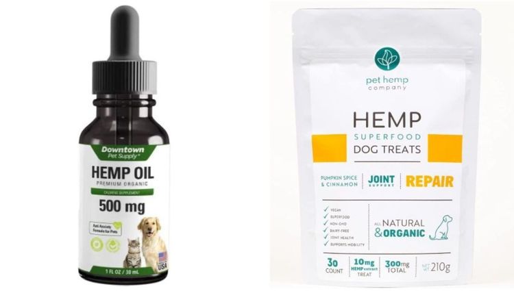5 Hemp Products That Your Dog Will Love