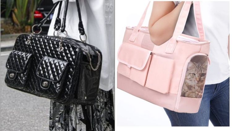 Cute and Stylish Pet Carriers That Look Like A Handbag