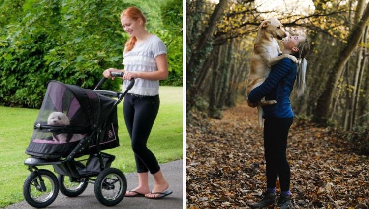 The Dog Lover's Guide To Choosing The Best Dog Stroller For Hiking