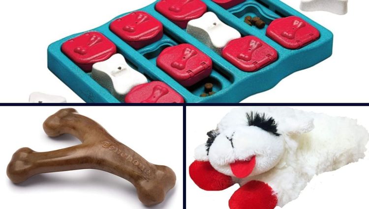 Love Your Dog? Get Them These Fun Toys