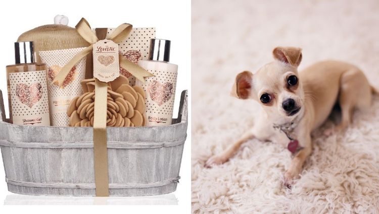 Furry-ocious Gift Baskets: Spoil Your Pet Mom on Mother's Day!