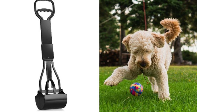 Poo-nt the Mess: How Dog Pooper Scoopers Keep Your Yard Clean