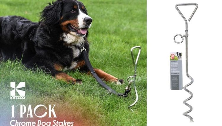 Unleash the Fun with Corkscrew Tie Outs: Small Dogs, Big Adventures!