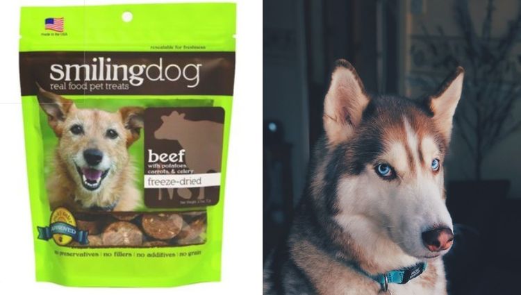 What are the Best Freeze-Dried Liver Treats for Dogs?