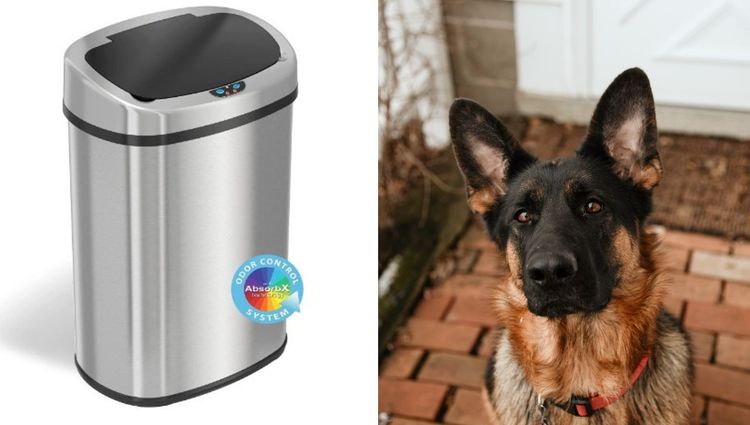 Canine Kryptonite: The Indestructible Dog Proof Trash Cans
