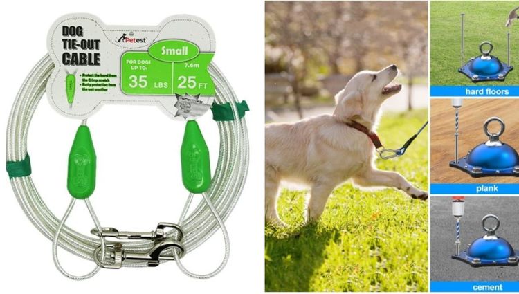 Pulling Your Chain: The Truth About Dog Tie-Out Cables!