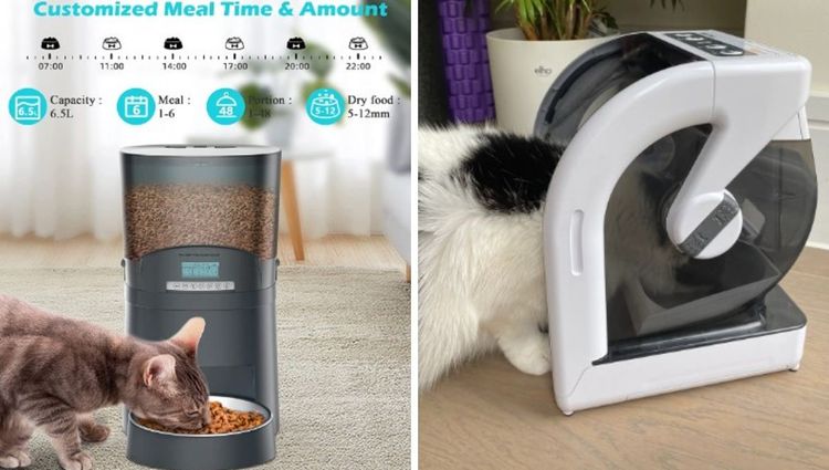 Feed Your Furry Friend with the Press of a Button: The Wonders of Automatic Pet Feeders!