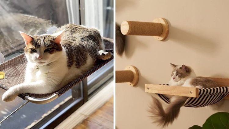 Kitten Cabanas and Pup Pods: The Purrfect Pet Hammocks!