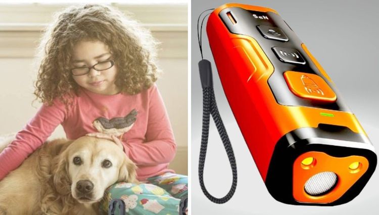Bark Less, Wag More: The Top Anti-Barking Gadgets!