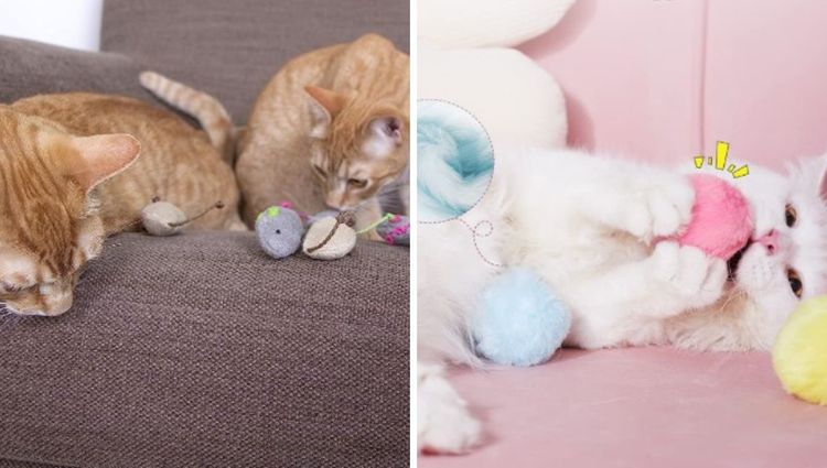 Feline Fine in 2023: The Purrfect Cat Toys to Keep Your Kitty Entertained!