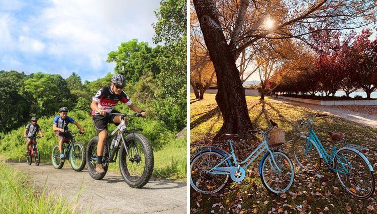 Discover the Incredible Benefits of Biking for a Healthier and Happier Life!