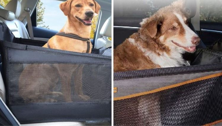 From Paws to Power: The Ultimate Guide to Car Seats for Large Dogs!