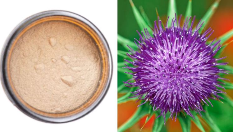 The Golden Benefits of Milk Thistle for Dogs: A Natural Liver Saviour