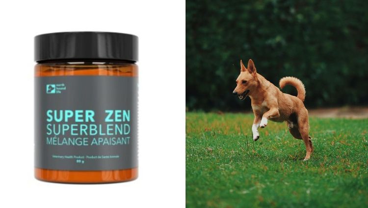 Super Zen Superblend: Your Dog's Natural Path to Calmness and Well-being