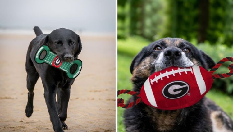 Fetch and Score: Unleashing the Best Dog Football Toys for Tail-Wagging Touchdowns!