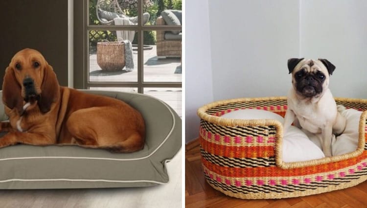 The Pawsitive Choice: Snooze in Style with Earth-Friendly Dog Beds!