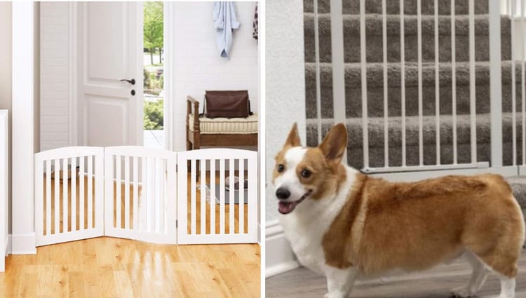 Small Dogs, Big Bars: Unlocking the World of Indoor Dog Gates!