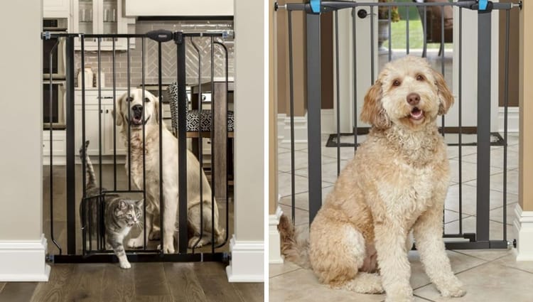 Gatekeeping the Gigantic: Unleashing the Best Dog Gates for Larger-than-Life Pooches!