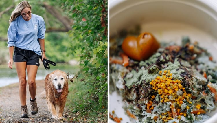 Discover The Secret To A Happier, Healthier Dog With These Top-Notch Supplements