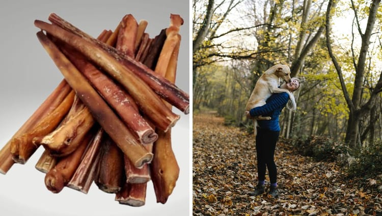 Bite Back: Unleashing the Tail-Wagging Truth About Bully Sticks – The Healthier Chew for Pawsitively Happy Pups!