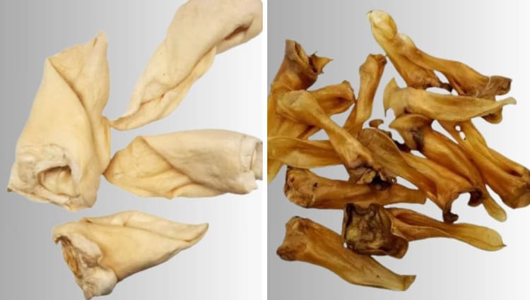 Bully Sticks vs Pig Ears: The Ultimate Chew Debate for Dog Owners