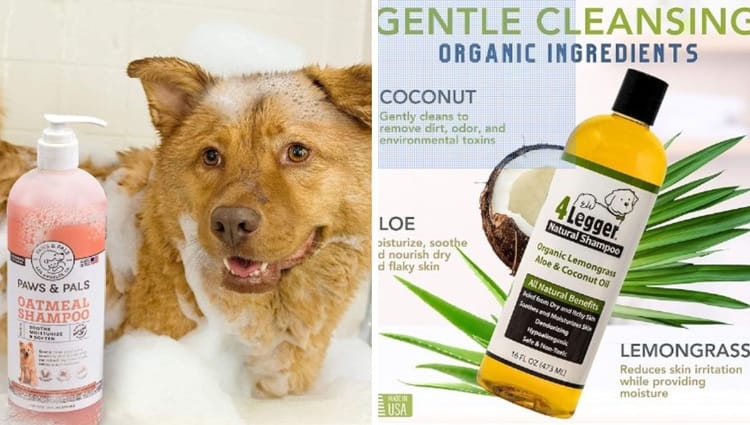 Pawsitively Pure: Unleash the Fluff with Organic Canine Couture – Shampoo & Conditioner that'll have Fido turning heads and tails!