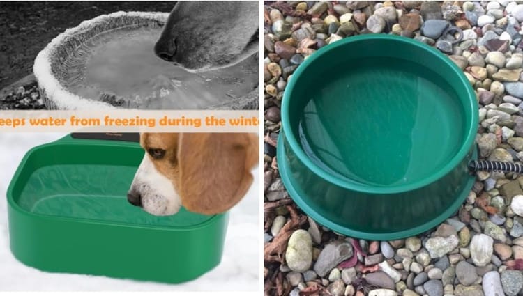 The Ultimate Guide to the Best Selling Heated Dog Bowls on Amazon