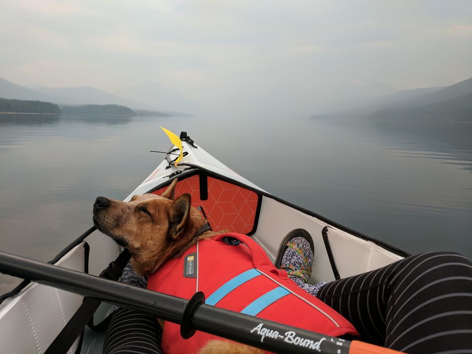 Best Kayaks For Dogs