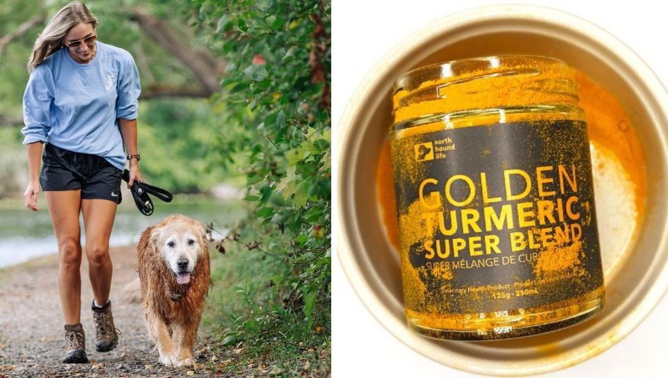 The Golden Spice Unleashed: Organic Turmeric for Dogs!