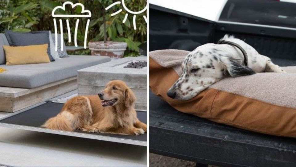 Indestructi-Bed: The Pawsitively Perfect Dog Bed for Chewers!