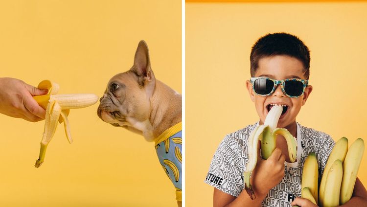 The Scoop on Bananas and Dogs!