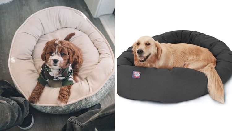 Get Them The Good Stuff: Best Donut Dog Beds