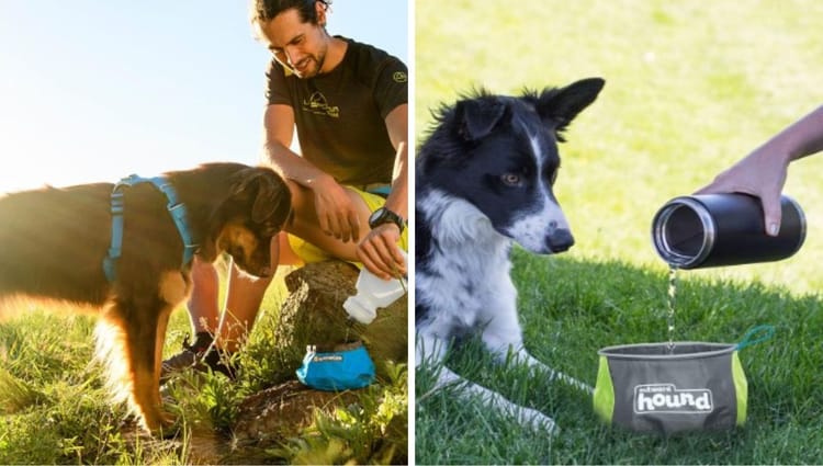 5 Best-Selling Outdoor Dog Bowls on Amazon That Your Pup Will Love