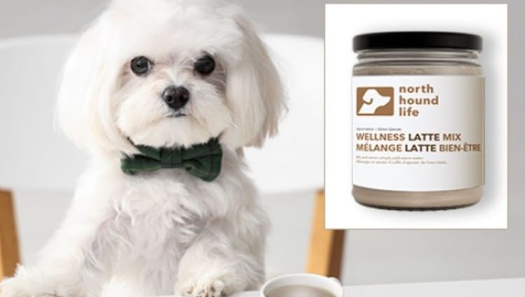 Introducing Wellness Latte Mix: The Ultimate Organic Dog Supplement for the Colder Months