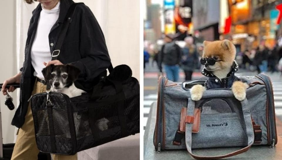 The Best Selling Dog Travel Bags on Amazon That Will Make Your Pup Wag with Joy!