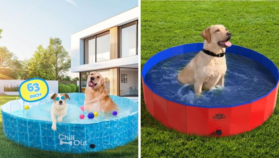 Dive Into Fun: The 7 Best Selling Dog Pools on Amazon