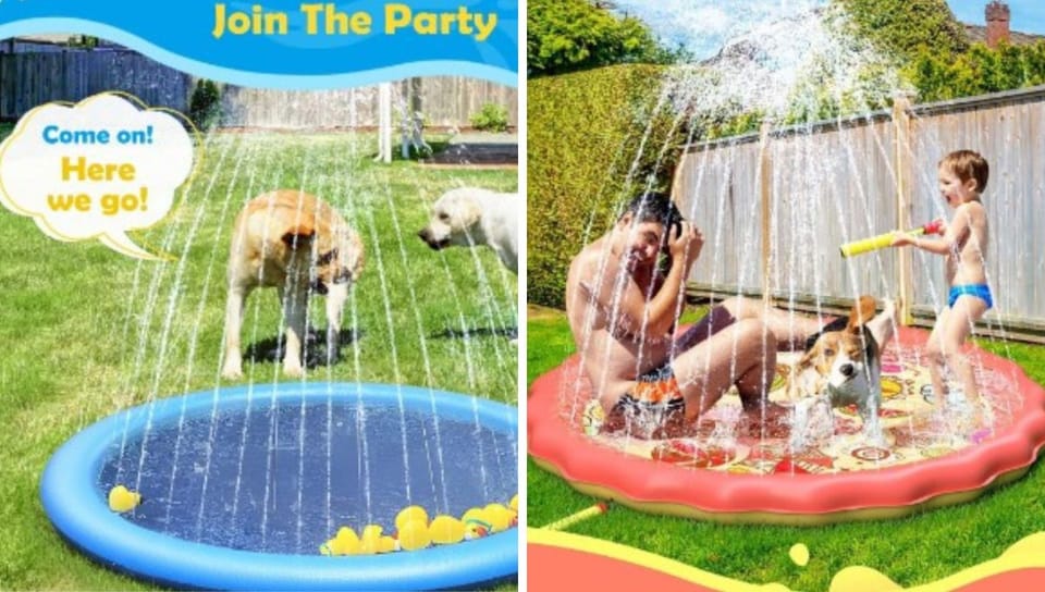 5 Best Selling Splash Pads for Dogs on Amazon That Will Make Your Pup's Tail Wag!