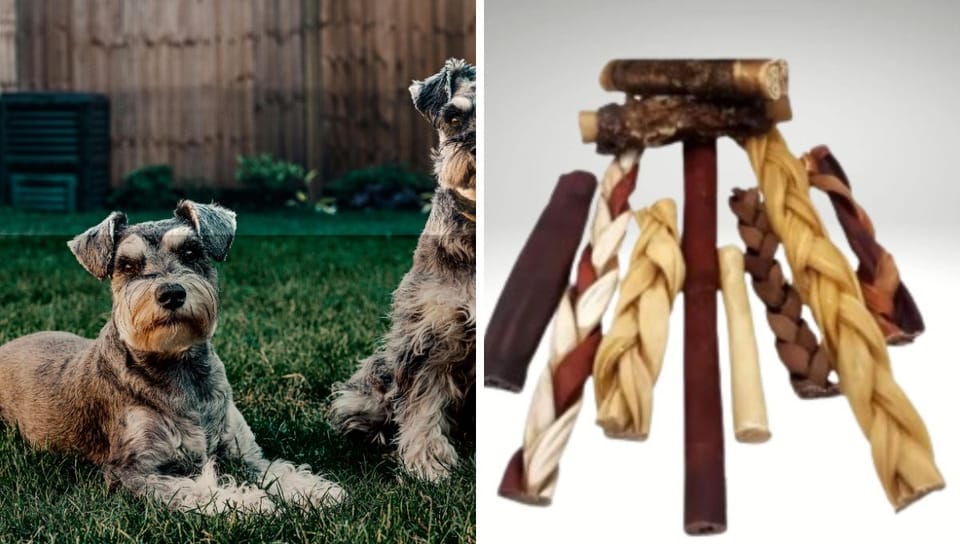 Beef Collagen Dog Treats: A Comprehensive Guide