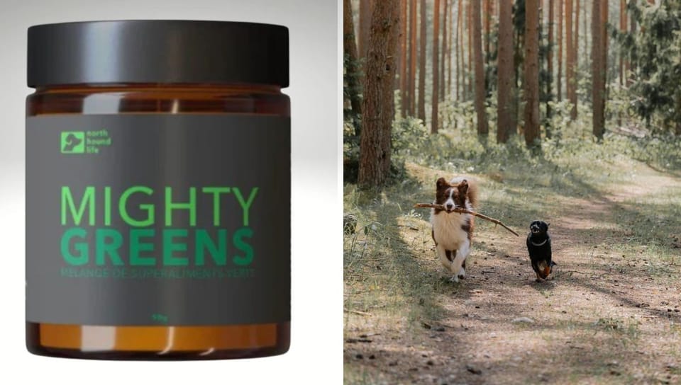 10 Reasons Why Mighty Greens Organic Dog Supplement is a Game-Changer for Your Furry Friend!